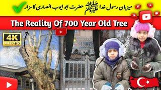 Hezret Abu Ayub Ansari Shrine Istanbul, Turkey  || The 700-Year-Old Tree: A Complete Exploration