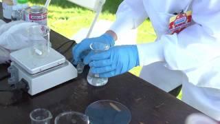 Young Scientist Demonstrates Amateur Chemistry