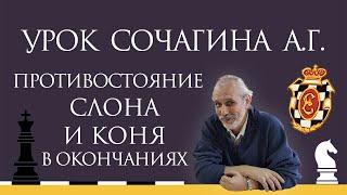 Видеоурок А.Г. Сочагина. Противостояние слона и коня в окончаниях