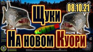 Щука на Новом Куори 08.10.2021 РР4 Русская рыбалка 4 ЩукаФарм рр4КуориРЫБОКИТ俄羅斯漁夫 4