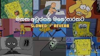 මනෝපාරකට සින්දු (slowed + reverb) | manoparakata sinhala songs collection | best new songs