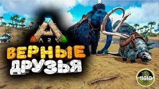  ПРИРУЧАЕМ ДЕДИКУРУСА И МАМОНТА  ark survival evolved ( арк )