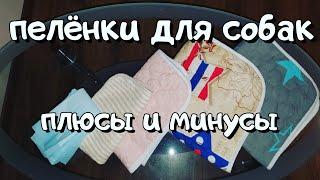 Почему многоразовые пелёнки для собак лучше одноразовых?