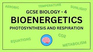 AQA GCSE Biology in 10 Minutes! | Topic 4 - Bioenergetics (Photosynthesis and Respiration)