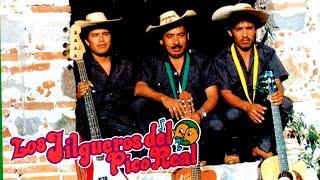 Los Jilgueros Del Pico Real Mix 15 Corridos Viejitos Solo Lo Mejor