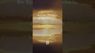 Любите друг друга. Как Я вас полюбил, так и вы любите... Иоанна 13:31-35 #библия #biblevision