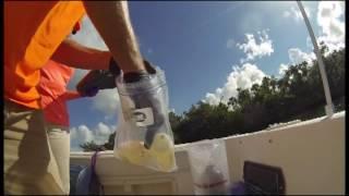 PSL Living - Dale Majewski & Joe Presti