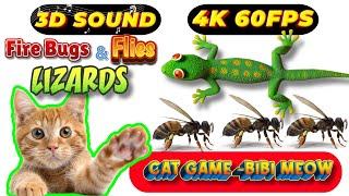 CAT GAMES TOM TV & BiBi | Ultimate Compilation Catching The LIZARDS, Flies, FireBugs11 HOURVol 117