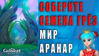 Соберите семена грёз | Genshin Impact | Мир Аранар