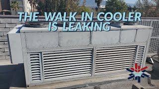 THE WALK IN COOLER IS LEAKING