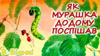 АУДІОКАЗКА НА НІЧ - "ЯК МУРАШКА ДОДОМУ ПОСПІШАВ" | Аудіокниги для дітей українською мовою | Слухати