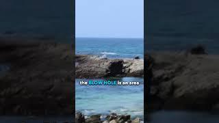 The "Blow Hole" Laguna Beach, CA