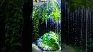beautiful scenery and voice.