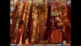 Redwood Forest Escape Walkthrough Games2rule