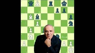 Garry Kasparov Brilliancy ( 2 ) 