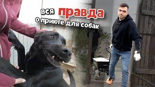 Я НЕ хотел уходить из этого ПРИЮТА! Ел ШАШЛЫК и играл с щенками.