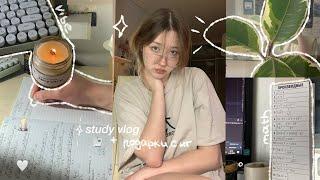 study vlog ≡ готовлюсь к профильной математике + подарки с нового года