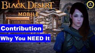 Beginners Guide to Contribution in Black Desert Mobile Global