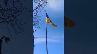 Слава Україні #shorts #ukraine #прапор #незалежність