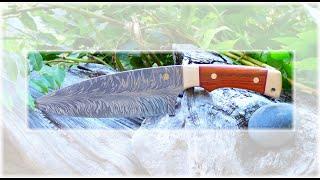 Even Blades / NZ presents: Chef's knife "EVO 2"