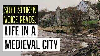 Life In A Medieval City | Unintentional ASMR Audiobook read by Peter Yearsley