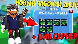 НЕ КЛИКБЕЙТ  БАГ НА ДЮП ПЕТОВ В NINJA LEGENDS! | ROBLOX