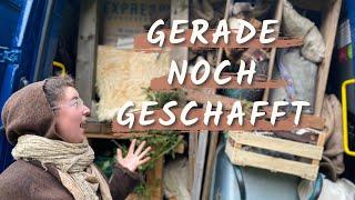 Gerade so noch geschafft! Umzug VLOG 53