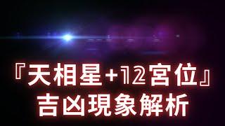 【天相星+12宮位】吉凶現象超乾貨解析！麥可大叔30年紫微斗數算命命理老師