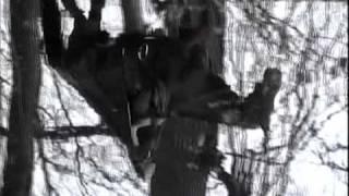 Лариса Луста "Дороги"