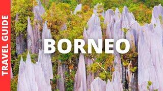 Borneo Malaysia Travel Guide: 17 BEST Things To Do In Borneo