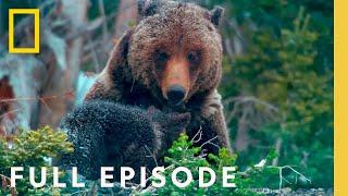 Surviving Grand Teton: America's National Parks (Full Episode) | Wild West Wonders