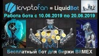 LiquidBot - работа бесплатного бота для биржи BitMex с 10.06.2019 по 20.06.2019 года