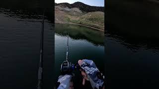 Castaic Lake striper fishing with Porter’s Magic shad bait topwater on a water bobber