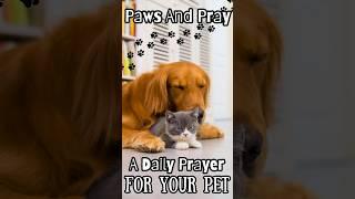 A Prayer of Blessing For Your Pet | Paws and Pray