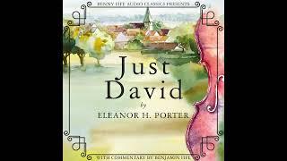 Just David by Eleanor H  Porter - Unabridged Audiobook by Benny Fife Audio Classics