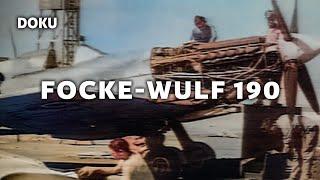 Focke Wulf FW190 (Deutsche Kampfflieger, Wehrmacht, Geschichte Dokumentation)