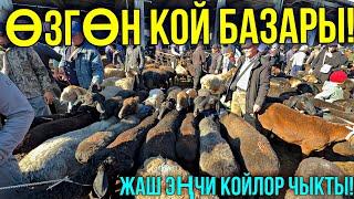 КОЙЛОР АРЗАНБЫ КЫМБАТБЫ?   #байтв