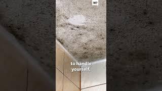 How to get rid of mould - Which? #mould #damp #hacks #tips #winter #cleaning #tipsandtricks