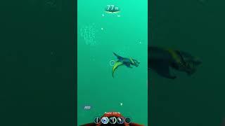 Subnautica Below Zero # 9 | Lily Pad Root And Brute Shark.