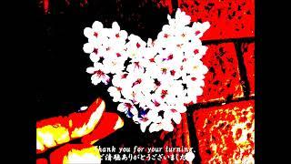 My favor secrets spot of Cherry blossoms(Drive)