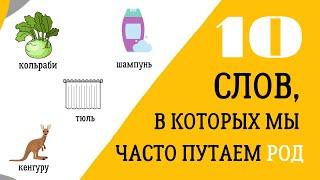 Какого рода ТЮЛЬ, ШАМПУНЬ, КОФЕ? Топ 10 слов, где часто путают род