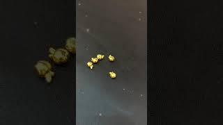 999 Gold Beans – Small in Size, Big in Luxury