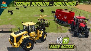 Feeding Buffalos in Farming Simulator 25 | Fs25 Gameplay Urdu