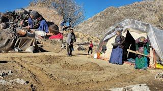 Nomadic Life: Fascinating Adventures of Nomadic Cooking: Building a Nomadic Home in the Mountains