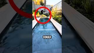 She Jumped Into a Narrow Pool… Then This Happened 