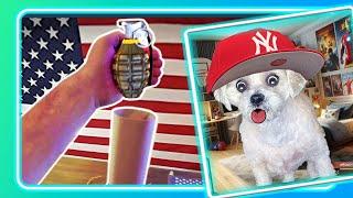 4th Of July Buttered Side Down Video Compilation! Making Fireworks Reaction @ChopsicleTheDog