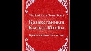 Животные и растения Казахстана занесённые в Красную книгу