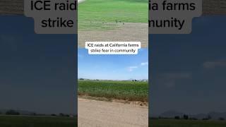 ICE raids at California farms strike fear in community