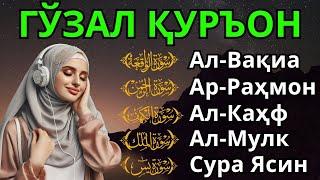 СУРАҲ АЛ ҚУРЪОН МЕРДУ ПЕНЕНАНГ ҲАТИ ДАН ПЕНГҲИЛАНГ СТРЕС, ЯСИН, АР РАҲМАН, АЛ МУЛК, АЛ КАҲФИ, ВАҚИЪА