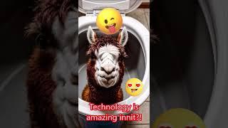 Skibidi Toilet Llama Edition